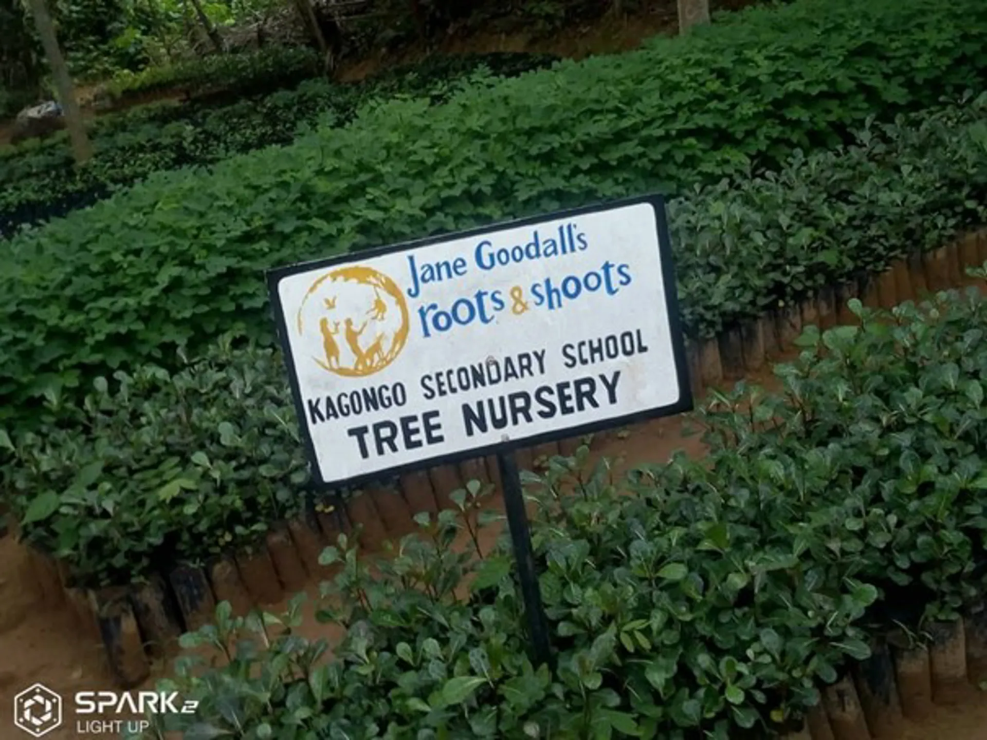 Bord van de Jane Goodall Foundation in de boomkwekerij van Kagongo Secondary School in Tanzania