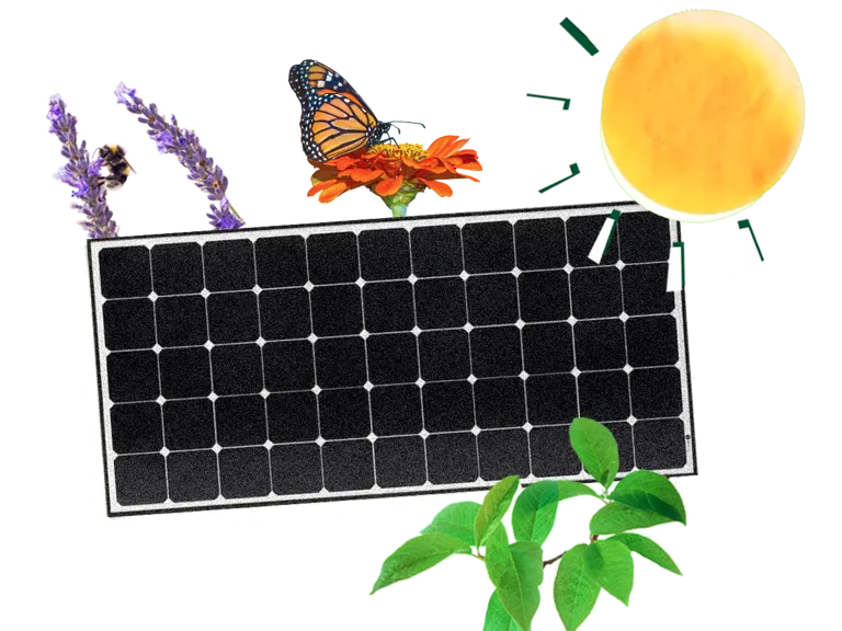 Zonnepanelen lente Greenchoice Zonnepaneel lentezon | Greenchoice