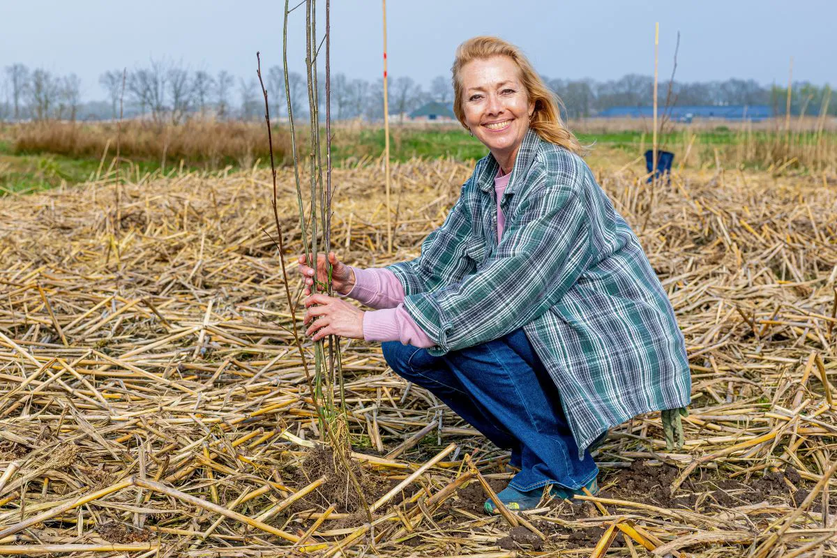 Fransje Verhagen- van der Linden Een vrouw in casual tuinkleding plant een jonge boom op een open grasveld. Ze hurkt naast een boompje in de grond en houdt de stam van de boom vast terwijl ze lacht.