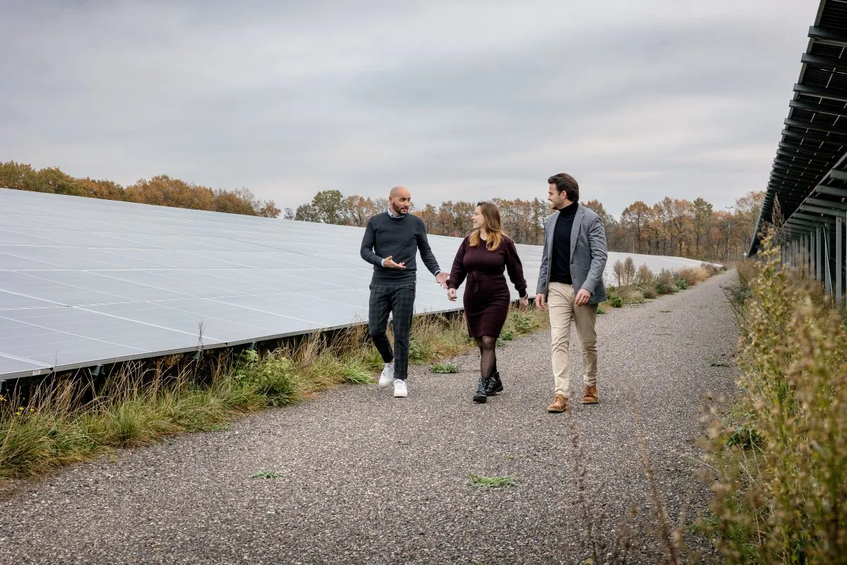 Drie collega's lopen buiten over een veld vol zonnepanelen. De twee mannen en een vrouw zijn druk in gesprek.