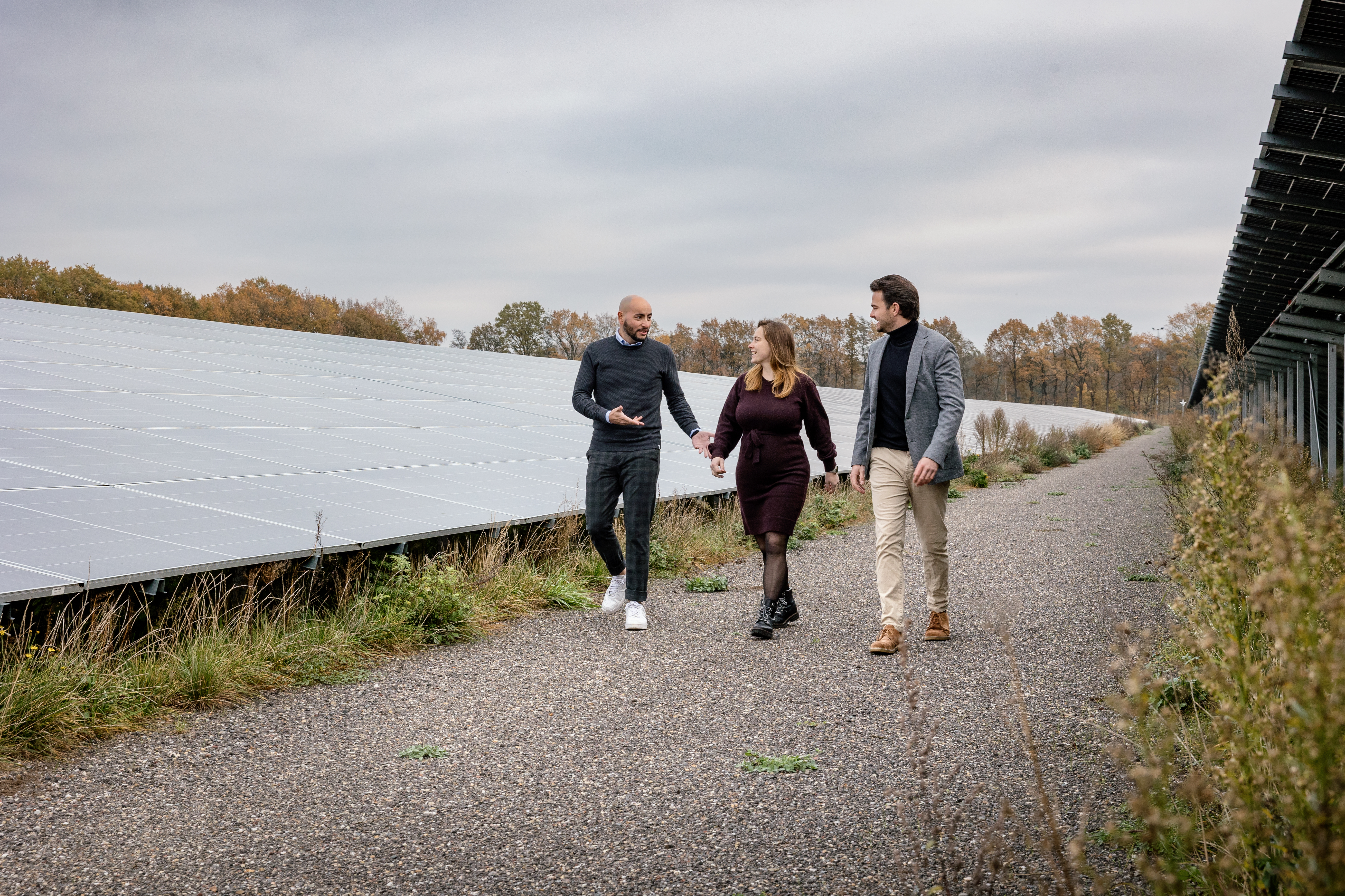 Drie collega's lopen buiten over een veld vol zonnepanelen. De twee mannen en een vrouw zijn druk in gesprek.