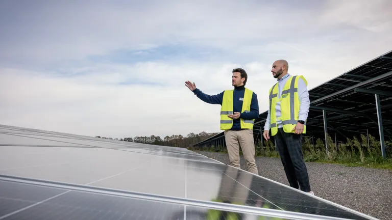 Greenchoice Integrated Twee collega’s staan buiten op een veld vol zonnepanelen. Ze zijn met elkaar in gesprek en één van hen wijst naar iets in de verte.